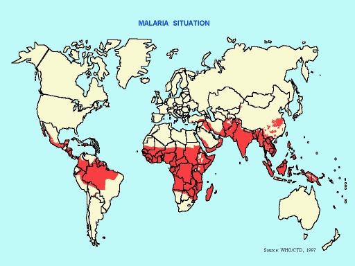 malaria2.jpg